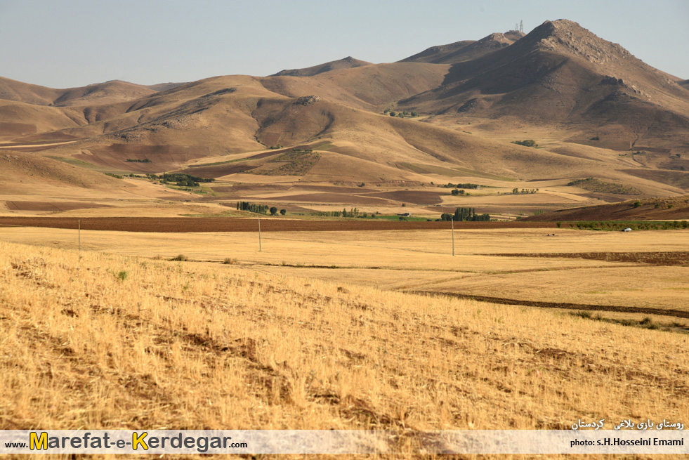 روستای یازی بلاغی